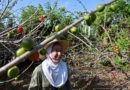 Cuban Farmer Seeks to Multiply Permaculture Opportunities