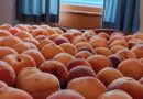 Peach Orgy, Bisbee, Arizona (USA) – Photo of the Day