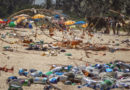 Pollution on Havana’s Prize Beaches, a Growing Concern