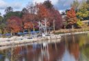 Fall Colors in Waterloo Park, Canada – Photo of the Day