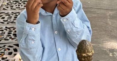 Little Boy in Plaza de Armas, Havana – Photo of the Day