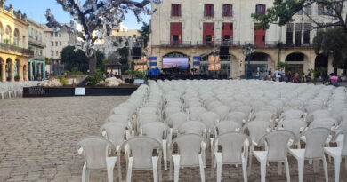 The Tree of a Thousand Voices Arrives in Havana, Cuba  