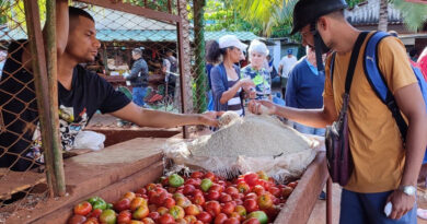 The Colors of Cuban Christmas