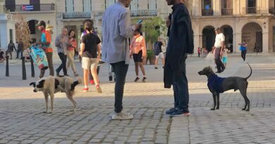 Movement in Old Havana’s Plaza Vieja