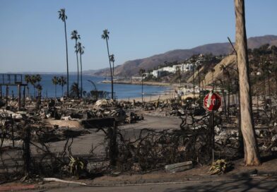 The Los Angeles Fires and Human Resilience