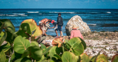 A Peculiar Beach East of Havana, Cuba