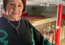 Mexico/USA: Feeding the Borderlands and Beyond