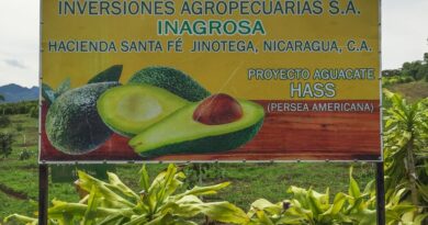 Land Invasion May Haunt the Ortega Government