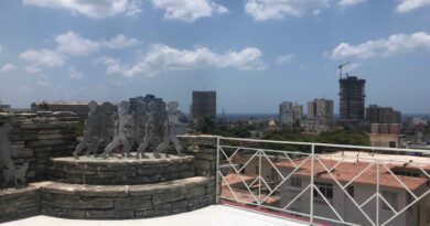 Havana Seen from Above