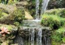 Waterfall, Florida, USA – Photo of the Day