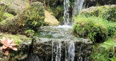 Waterfall, Florida, USA – Photo of the Day