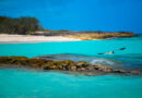 Solitude in Paradise at Cayo Santa Maria, Cuba