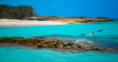 Solitude in Paradise at Cayo Santa Maria, Cuba