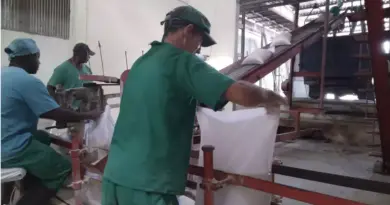Neither Shrimp nor Lobster Escape Debacle of Cuba’s Economy