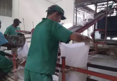Neither Shrimp nor Lobster Escape Debacle of Cuba’s Economy