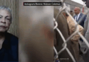 Rep. Bonnie Watson Coleman on DHS Threats to Arrest Her