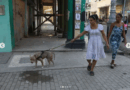 Havana Weather for May 15-21