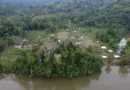 Ortega Allows “Invasion” in Wildlife Refuge in Río San Juan
