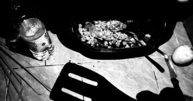 Scrambled Pig Brains on Firewood Seasoned with Lots of Acid