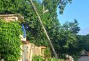 Routines and Boredom in Cuba