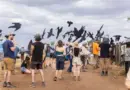 A Conversation about Resistance at the USA – Mexico Border