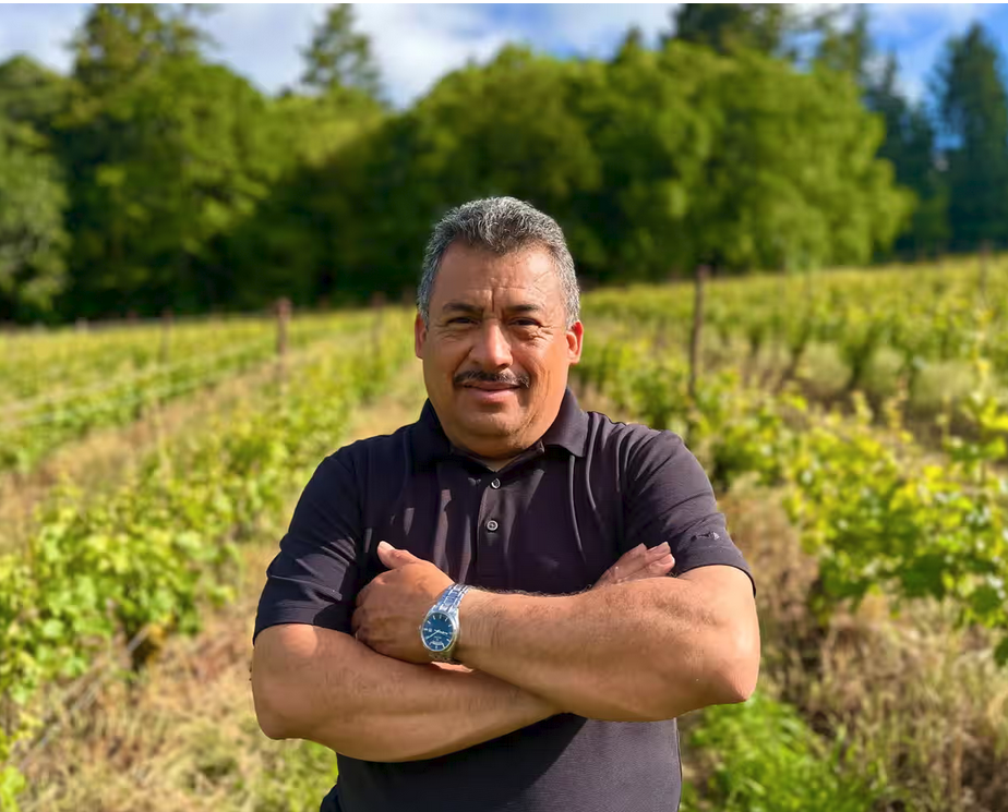 ICE Arrest of Vineyard Manager Shakes Oregon Wine Industry