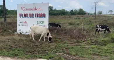 A Cuban Farming Town Where “There Is No Life”