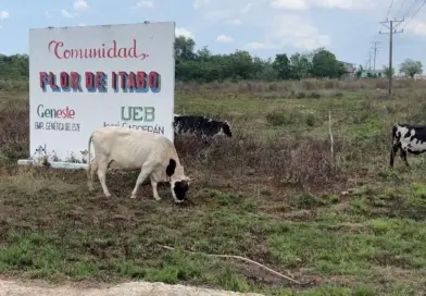 A Cuban Farming Town Where “There Is No Life”