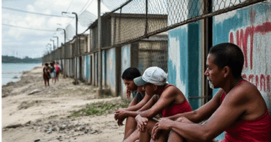 Inspiration for Survival Inside Cuba