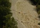 Perfect Flight, Gorges du Verdon, France – Photo of the Day