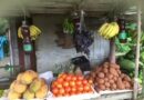Fruits & Veggies on the road, Holguín, Cuba – Photo of the Day