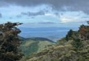 Monteverde Morning, Costa Rica – Photo of the Day