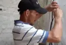 Cuban Doctor Gives Up His Profession to Raise Flies