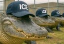 That “Damned” Immigration and the New “Alligator Alcatraz”