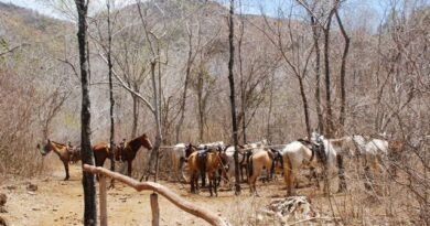 Horses in the Mountains, Granma, Cuba – Photo of the Day