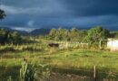 The Countryside That Lives Within Me