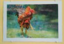 Havana Art Exposition: “Like a Fine Rooster”