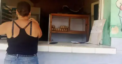In Cuba There Are Two Grades of State Bread Rolls