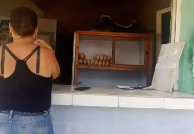 In Cuba There Are Two Grades of State Bread Rolls