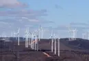 Rare Earth Minerals: a New Tecno-Industrial Dream in Brazil