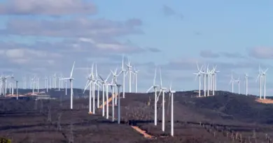 Rare Earth Minerals: a New Tecno-Industrial Dream in Brazil