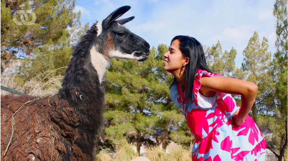 Cuban Woman in Nevada Gives New Life to Abandoned Animals