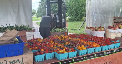 Fruit & Vegetable Stand in Thornbur, Canada – Photo of the Day