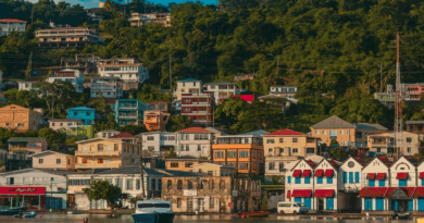 Job Offer for Skilled Cubans on the Island of Granada