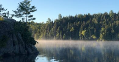 Rays of Early Morning Light, Quebec – Photo of the Day
