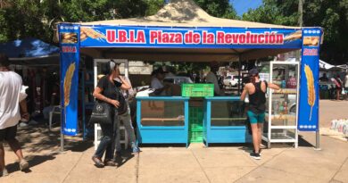 The Agro-Industrial Fairs in Havana