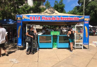 The Agro-Industrial Fairs in Havana