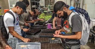 Rio Grande: They Grow the Food So Why Are Many Hungry?