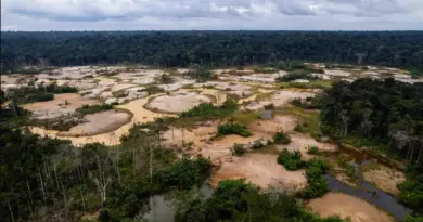 The exploitation of common resources in Latin America
