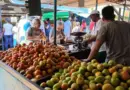 Cuba: Vicious Circle of Capping Prices Amid Less Production